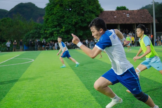联合国安理 联合国安理